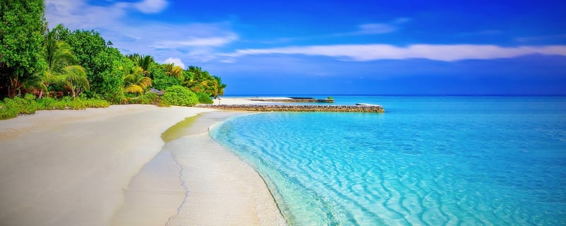 Private Island Wedding